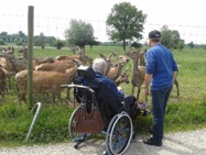 Busgroepen_3 Busgroepen